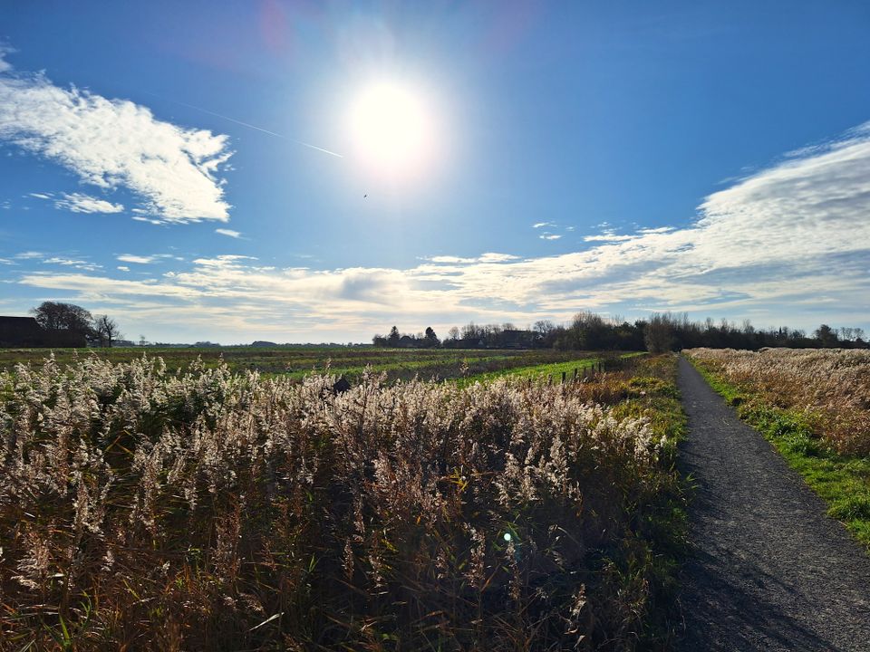 Foodroute van Franeker naar Wad