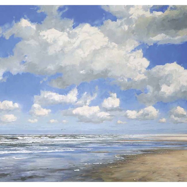 Castricumse zeegezichten in Westzaan