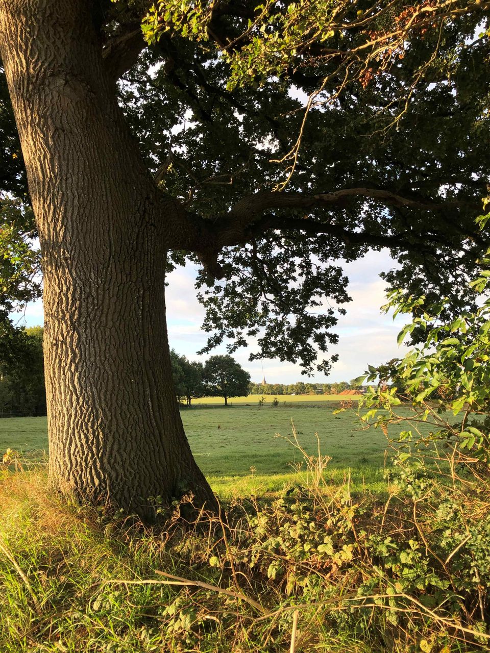 Hemelum / Bakhuizen Friesland