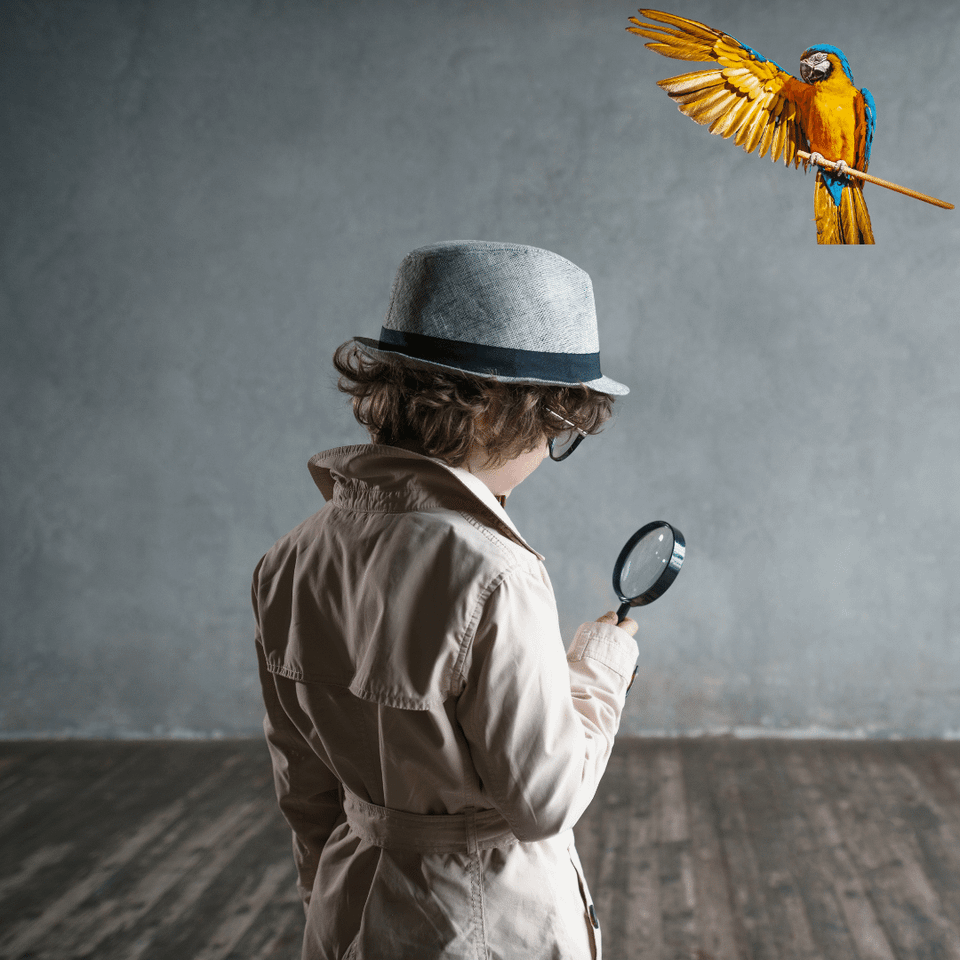 speurtocht voor kids in Drachten