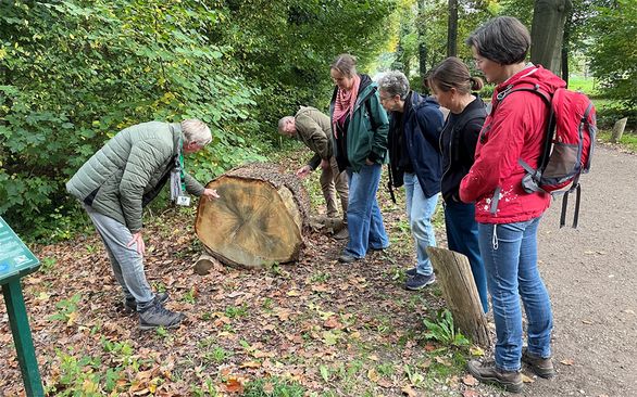 Bomenexcursie Amelisweerd
