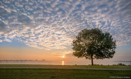 Zonsondergang boven een uitgestrekt meer met een solitaire boom op de oever, terwijl de zon laag aan de horizon staat en het water en de wolken zacht oranje kleurt.