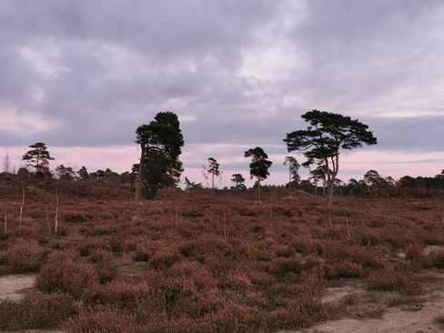 Hulshorsterzand heide wolk YK