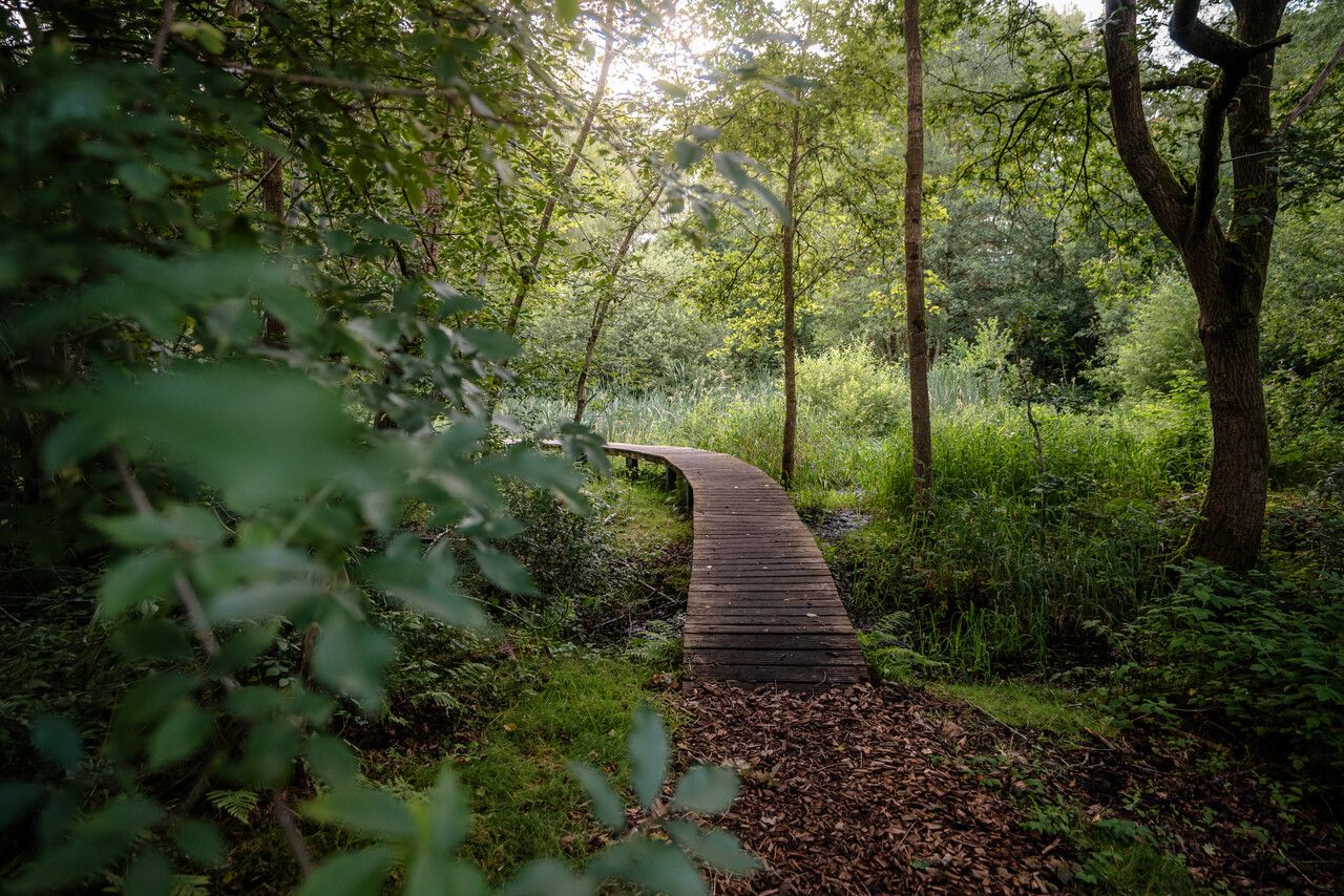 Vlonderpad in Mullemer Bemden