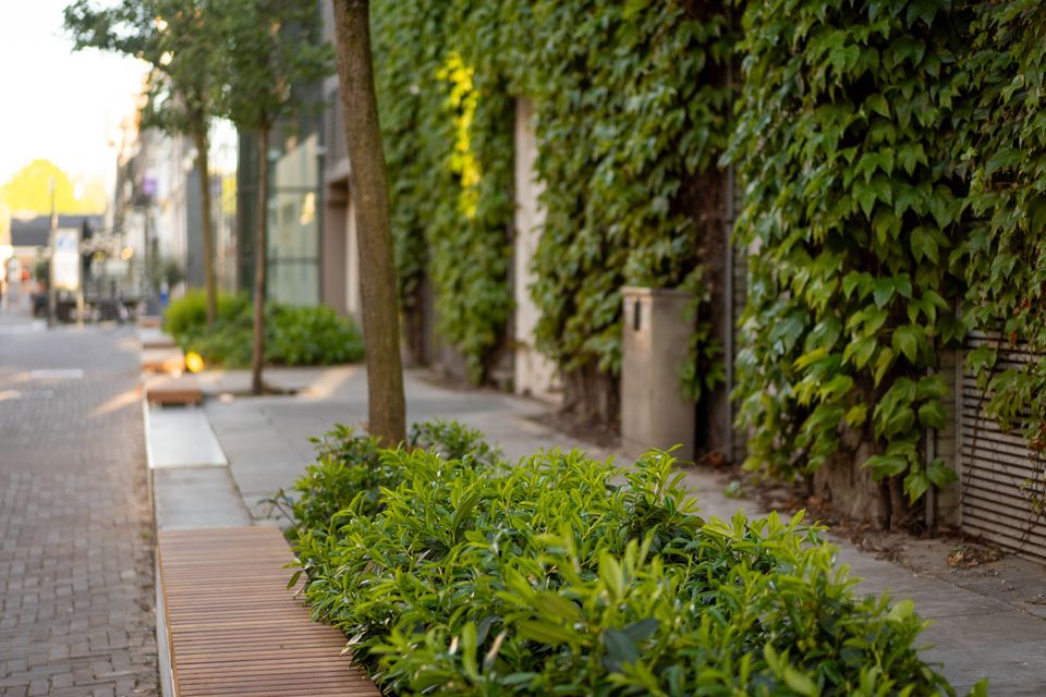 Vergroening Purmerend