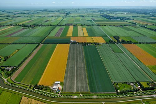 Dit beeldmateriaal is vrij te gebruiken met naamsvermelding van de fotograaf.