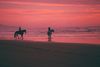Buitenrit paardrijden tijdens zonsondergang op Terschelling