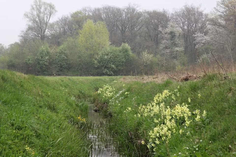 Wandelen | Struinen in de Muggenhoek