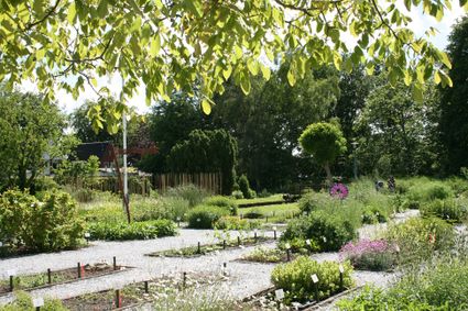 De Kruidhof in Buitenpost: de hortus van Fryslân