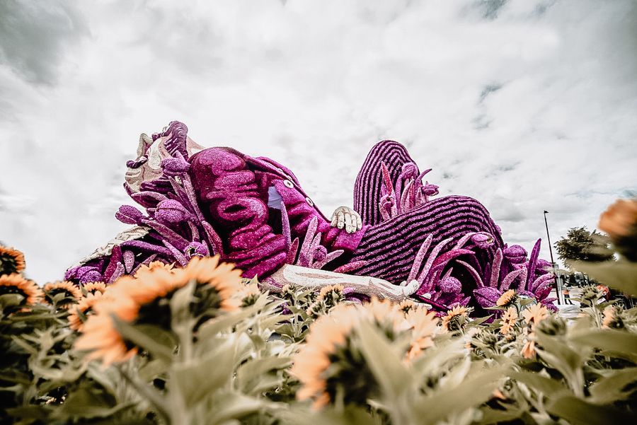 Corso in Zundert bloemencorso Noord-Brabant