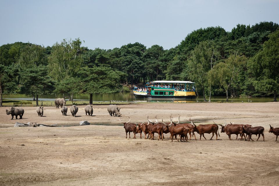 Safaripark Beekse Bergen