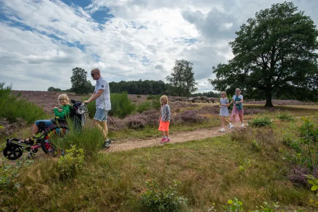 Toegankelijk overnachten in Zuidwest-Drenthe