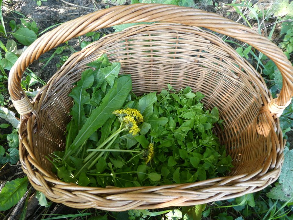 wildplukken