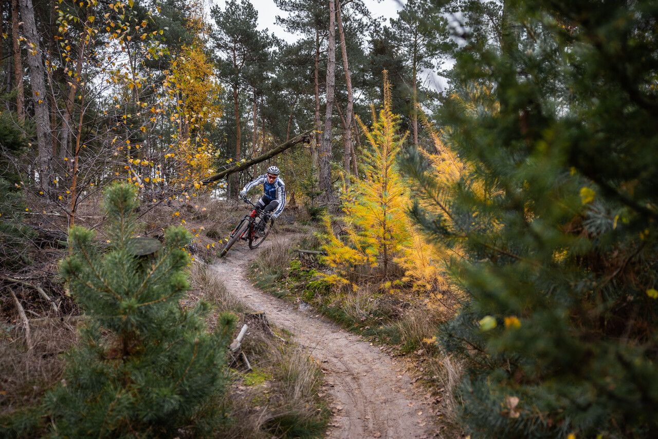 MTB'er in Asten in De Peel