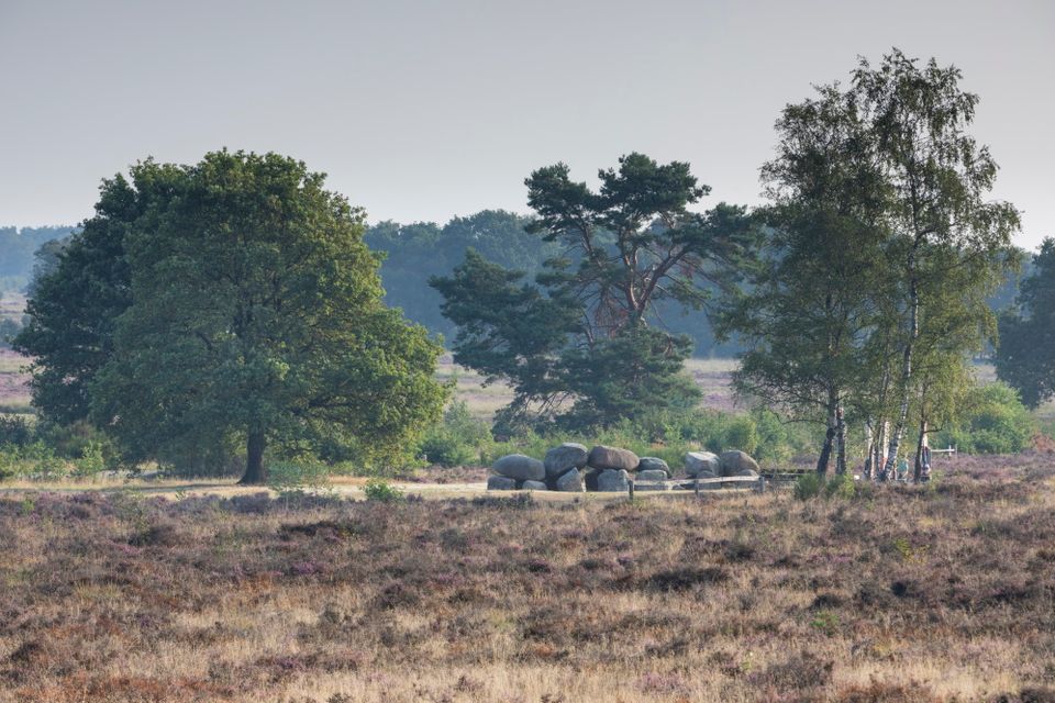 Hunebed D54 van een afstand.