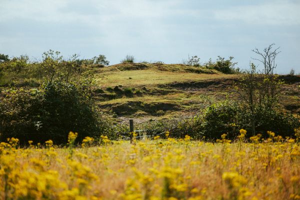 Landschappelijke verhoging aan rand van de Groote Peel
