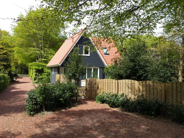 Vakantiehuisje Gaasterland in Oudemirdum tussen de bomen.