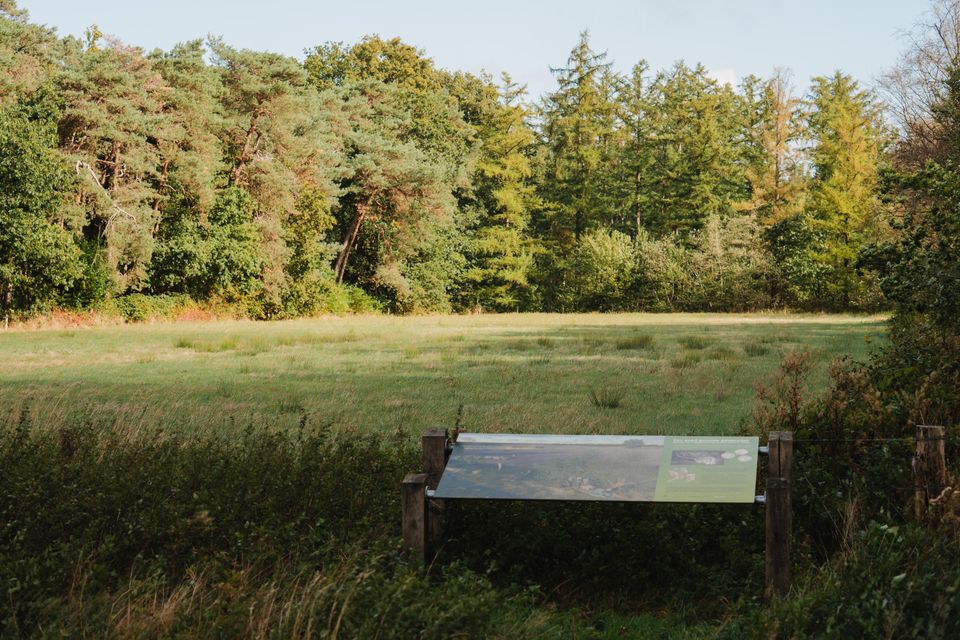 Vindplaats muntschat