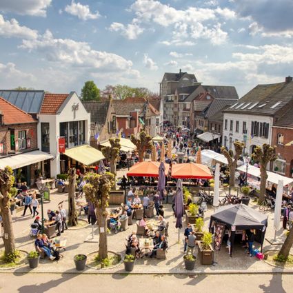 Bovenaanzicht sfeermarkt Arcen