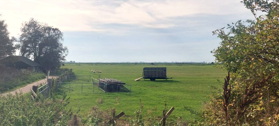 Rondje Sneekermeer met pontjes | Fietsroute