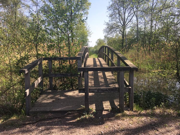Rondom De Halte, Deurne