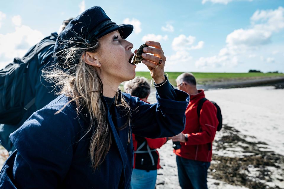 Oesters slurpen bij Oosterschelde