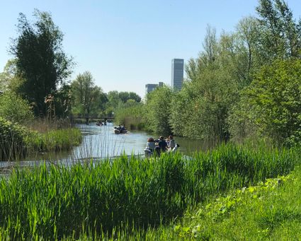 Natuurgebied van de Potmarge