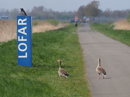 LOFARgebied - © Foto: Hans Dekker-Het Drentse Landschap