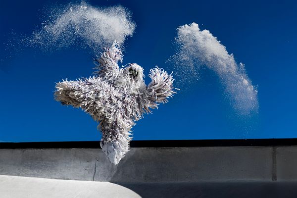 Yeti(4+) - Een sprankelend dansavontuur over anders zijn, vriendschap en gekke sprongen