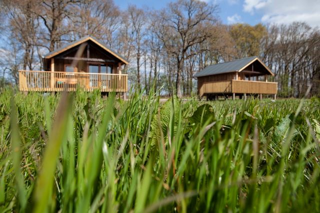 Houten huisjes op palen, midden in de Drentse natuur