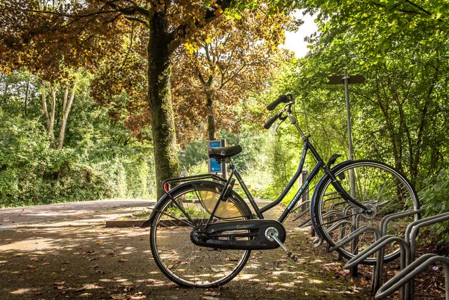 Een foto van een fiets die in het fietsenrek staat. De fiets staat in het Westerpark en doordat de zon schijnt komt het licht er mooi doorheen.