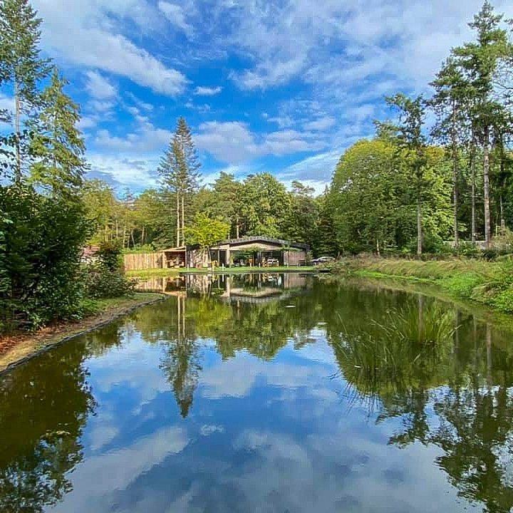 Bosrijke foto met op de voorgrond een grote vijver, in het midden een houten chalet, Blauwe lucht met witte wolkjes.