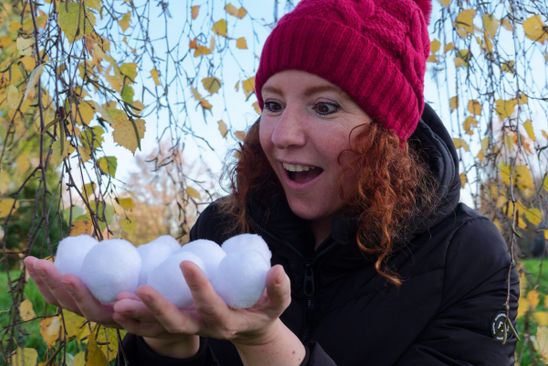 De winter wonder tuin 2+