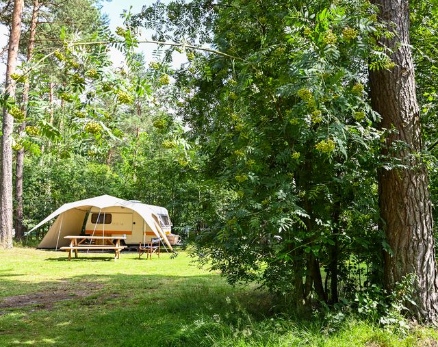 Een tent op het kampeerveld van vakantiepark de Krakeling