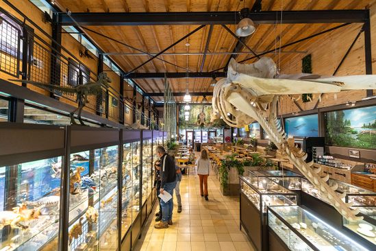 Boxtel Museum of Prehistory | VisitBrabant