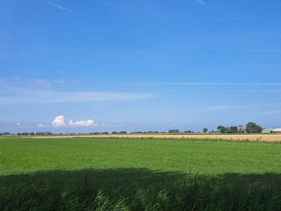 omgeving Hallum