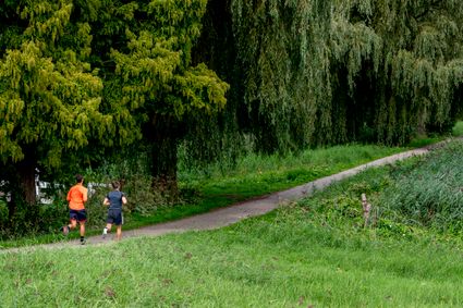 hardlopen amstelveen