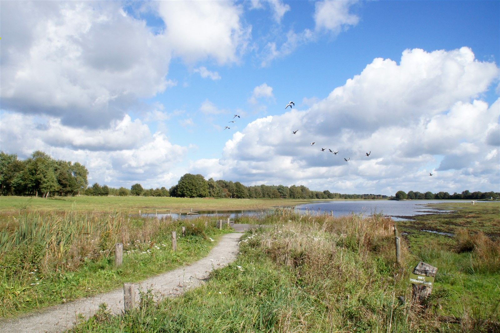 Uitzicht over het Beleven