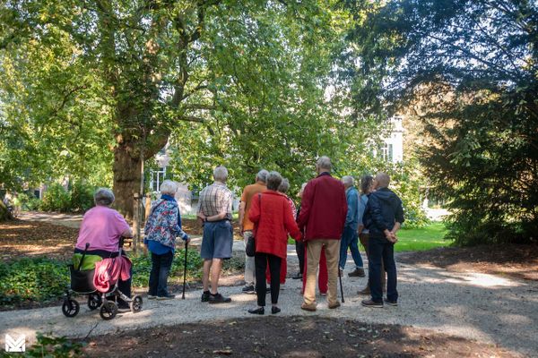 Seniorenwandeling ‘Zomer’ in kasteelpark