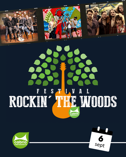Een poster van Rockin The Woods