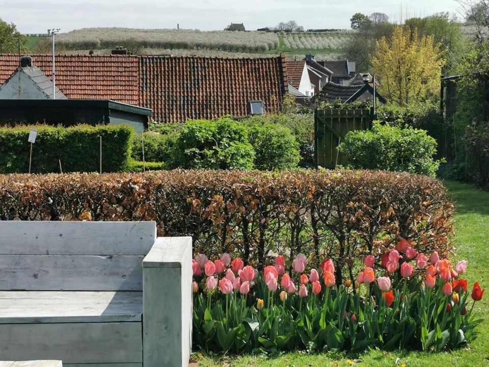 Hof van Wolder Maastricht tuin