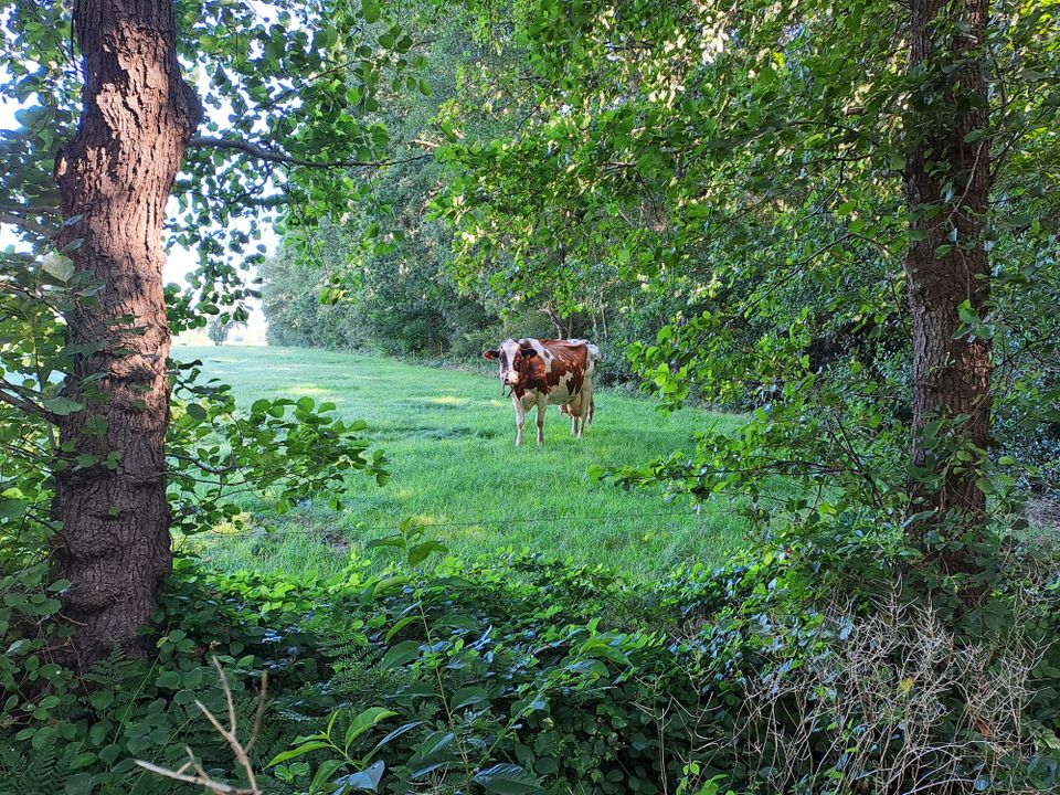 Verzet op het Friese platteland | Liberation route