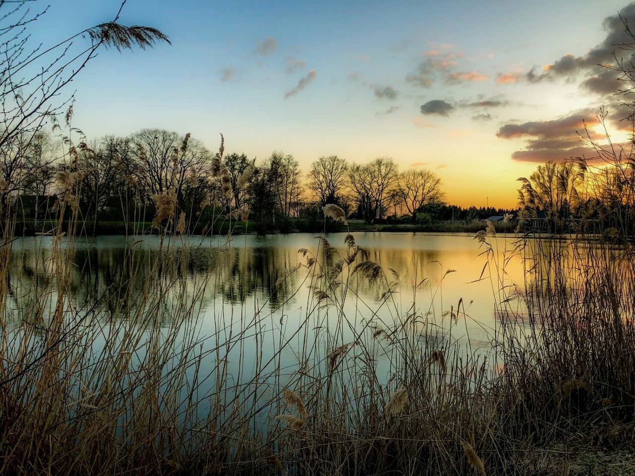 Fotoclub Optika - 50 jaar