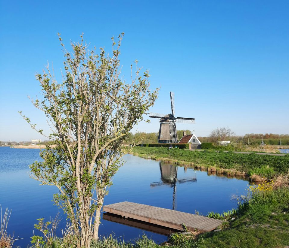 Een foto van de De Twiskemolen op afstand