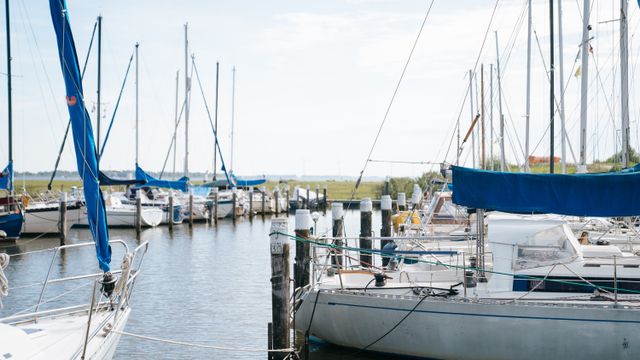 WSV het Bommelse Gors aan het Haringvliet in Den Bommel