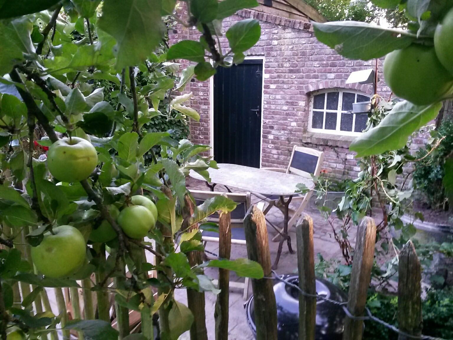 Doorkijkje naar een stenen gevel met deur en stalraampje. Ervoor staat een zitje. Op de voorgrond een houten hekje en een appelboompje met groene appels.