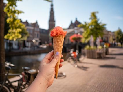 ijs nieuwe rijn