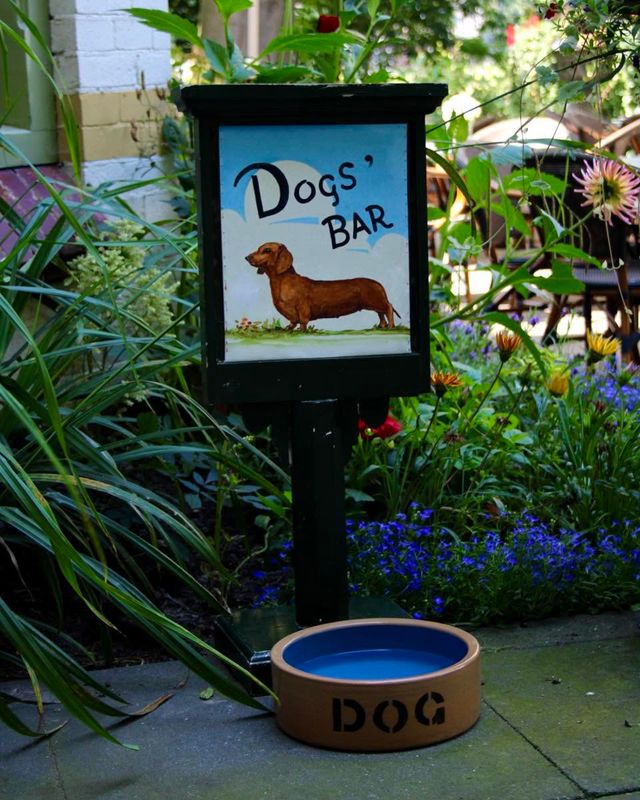 Doggy bar Tea Time