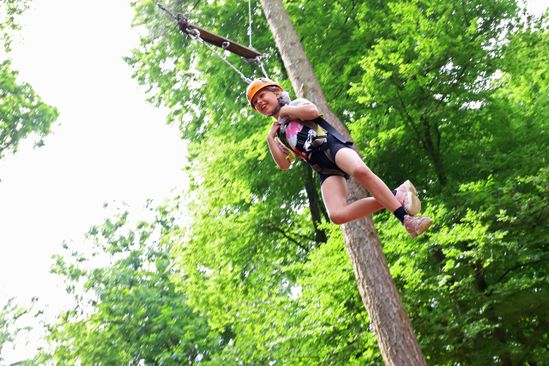 Rocks ’n Rivers Treetop Adventure Park | VisitBrabant