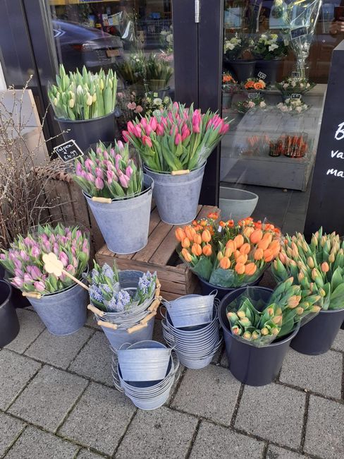 Bloemhuis De Passiebloem